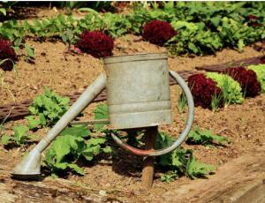 Forum des acteurs de la précarité 