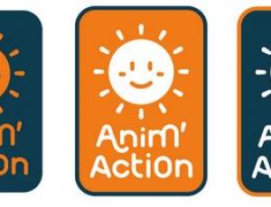 Newsletter - Animaction