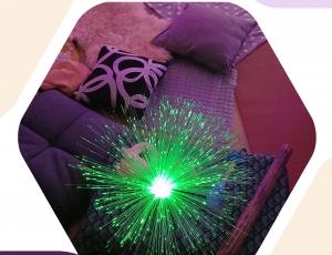 Programme du mois de janvier