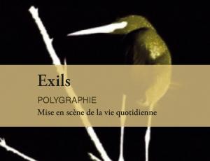 Le travail social est-il compatible avec le racisme ?