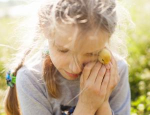 L’enfant victime de violences conjugales : une progressive reconnaissanceL’enfant victime de violences conjugales : une progressive reconnaissance