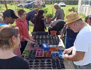 Opération semis au Jardin extraordinaire