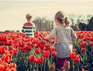 Rever la nature avec les enfants 