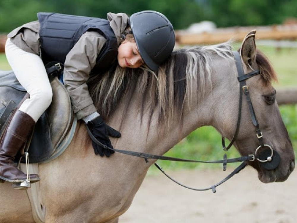Le cheval apaise les relations parents - enfants