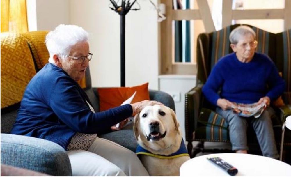 La vie en coloc : une alternative pour les malades d'Alzheimer La vie en coloc : une alternative pour les malades d'Alzheimer