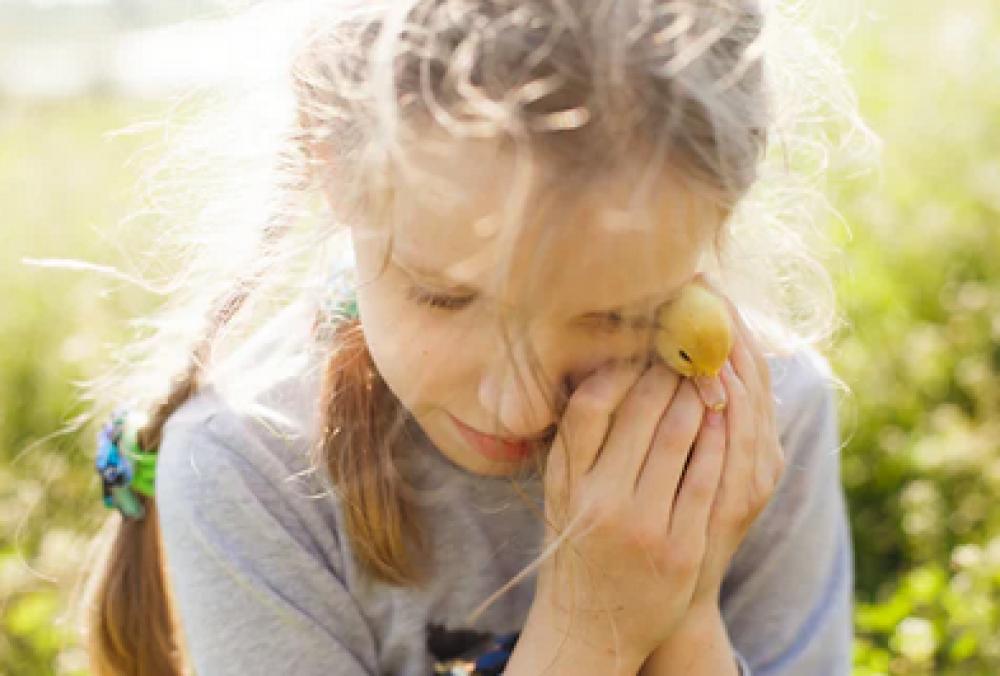 Pédopsychiatrie : des pistes pour remédier à la saturation des centres médico-psychologiques Pédopsychiatrie : des pistes pour remédier à la saturation des centres médico-psychologiques