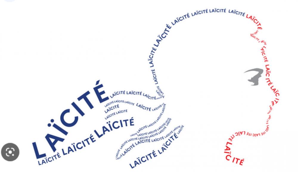 Dilemmes parmi des professionnel·le·s de l’éducation populaire Dilemmes parmi des professionnel·le·s de l’éducation populaire