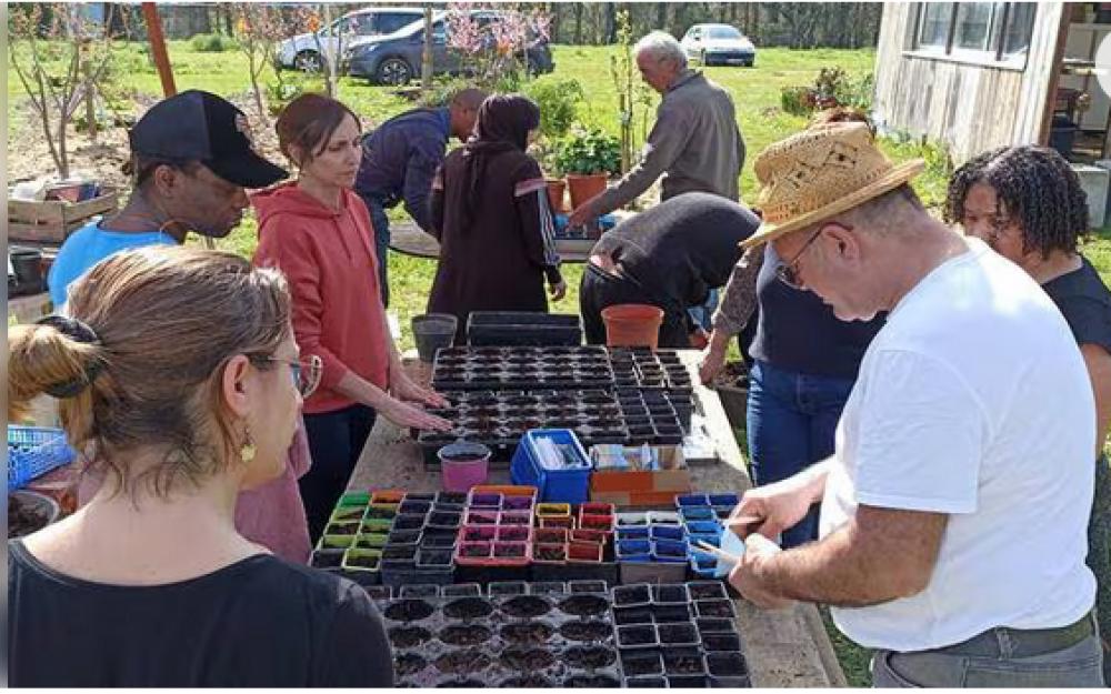 Opération semis au Jardin extraordinaire Opération semis au Jardin extraordinaire