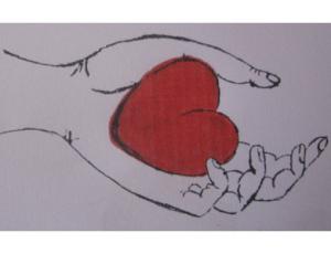 SECOURS HUMANITAIRE COTE DE JADE